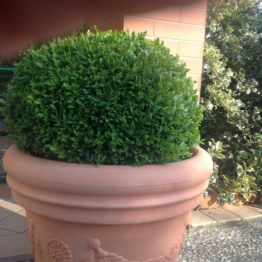 Casale El Galet Daire Moniga del Garda Dış mekan fotoğraf